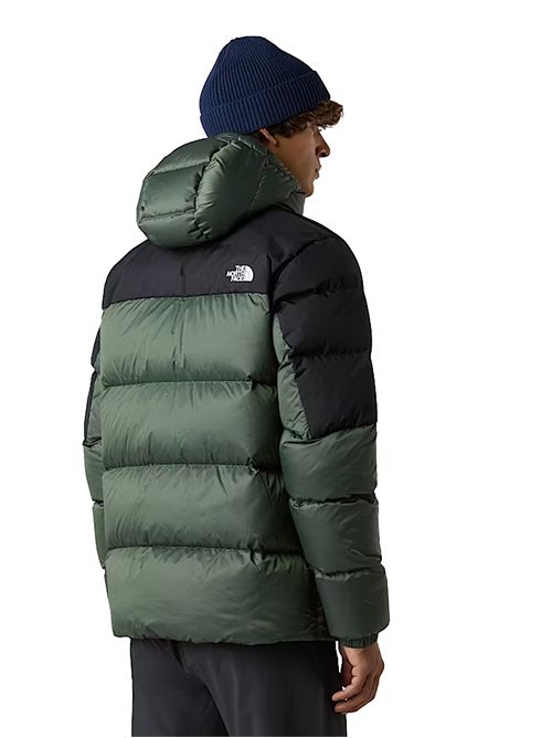 THE NORTH FACE Diablo 2.0 Down Jacket with Hood THE NORTH FACE | NF0A8992EIH1